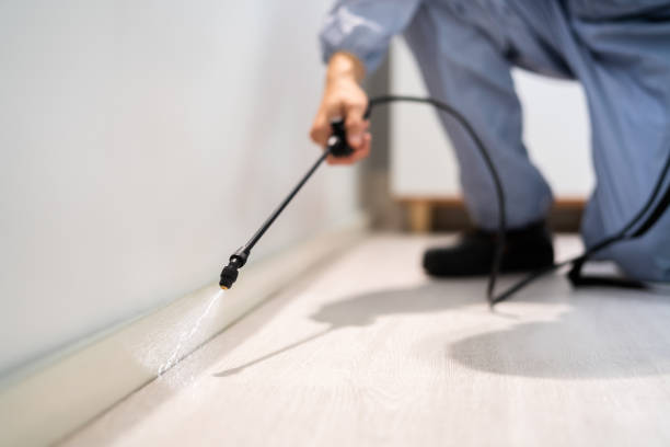 Licensed Pest Control service in North Plymouth, MA - Show Me Pest Control